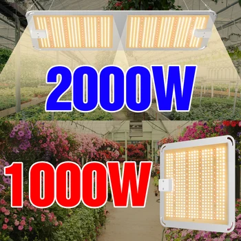 LED Grow Light 1000W 2000W 4000W Phytolamp EU US UK Plug Indoor Plant Growing Lamp LED Full Spectrum Phyto Lights 220V Fitolampy
LED Grow Light 1000W 2000W 4000W Phytolamp EU US UK Plug Indoor Plant Growing Lamp LED Full Spectrum Phyto Lights 220V Fitolampy