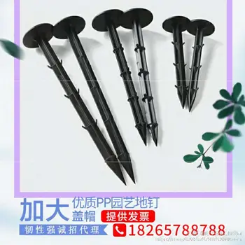 Film Green Gardening Plastic Black Nail Durable High Quality Nail Stake New Style Cloth
Film Green Gardening Plastic Black Nail Durable High Quality Nail Stake New Style Cloth