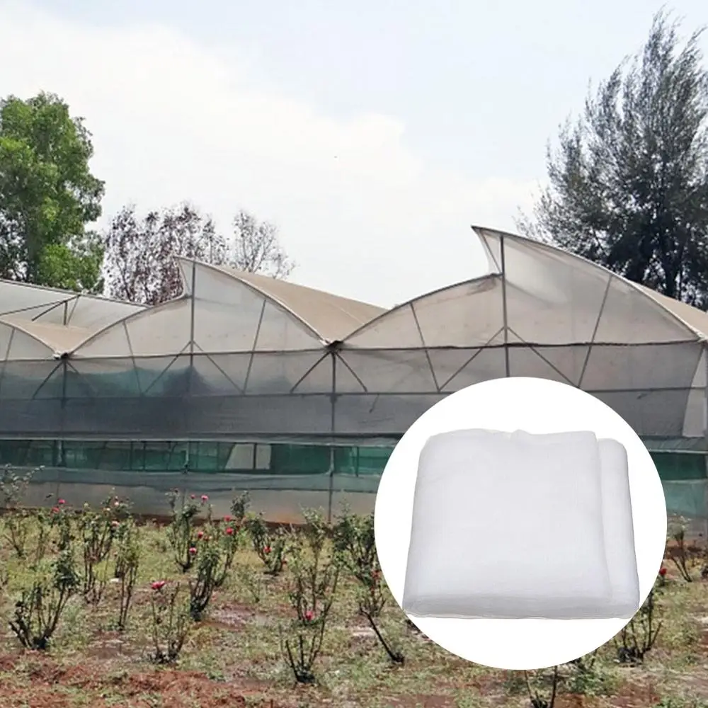 Large Garden Crop Plant Protection Net Netting Bird Net Pest Insect Animal Vegetable Care Big Mesh Nets
Large Garden Crop Plant Protection Net Netting Bird Net Pest Insect Animal Vegetable Care Big Mesh Nets