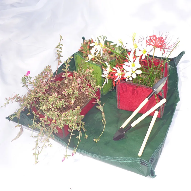 Large Medium Size Plant Repotting Clean Mat for Succulent Flowers Plants Indoor Transplantation Soil Remove Replacement Mat
Large Medium Size Plant Repotting Clean Mat for Succulent Flowers Plants Indoor Transplantation Soil Remove Replacement Mat