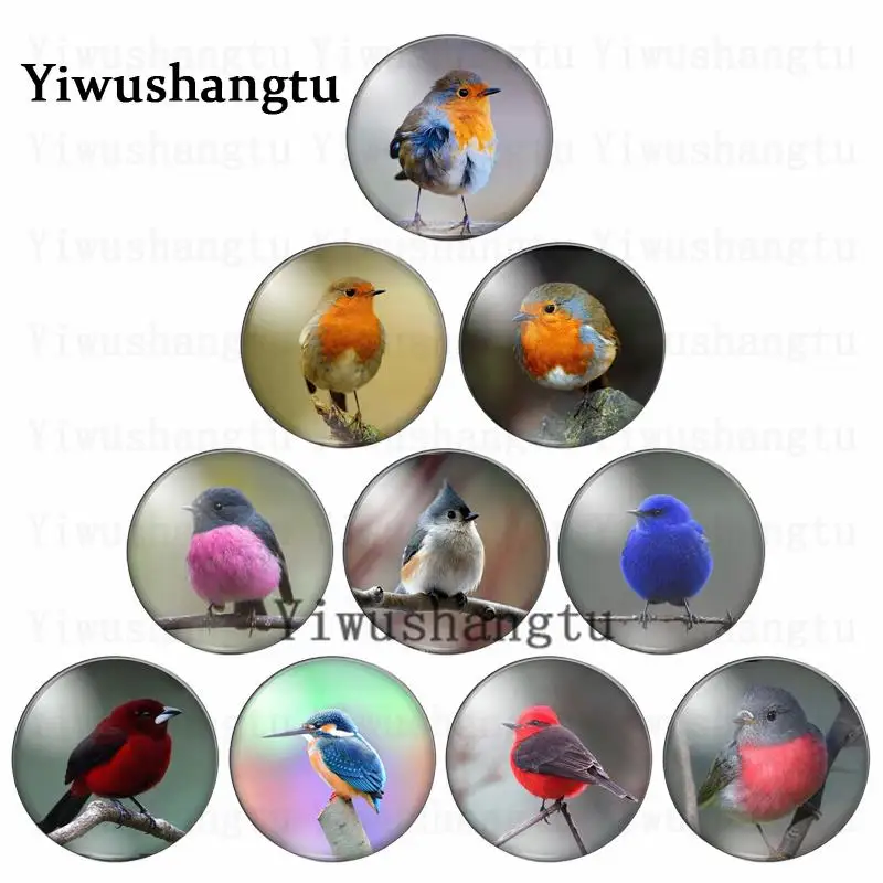 Little cute bird Perched on a branch lovely animal 12mm/20mm/25mm/30mm Round photo glass cabochon demo flat back Making findings
Little cute bird Perched on a branch lovely animal 12mm/20mm/25mm/30mm Round photo glass cabochon demo flat back Making findings