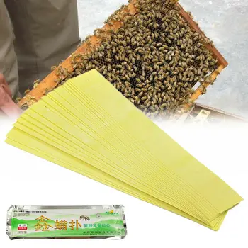 200pcs /set Professional Acaricide Against The Bee Mite Strip Beekeeping Medicine Bee Mites Killer Control Beekeeping Farm
200pcs /set Professional Acaricide Against The Bee Mite Strip Beekeeping Medicine Bee Mites Killer Control Beekeeping Farm