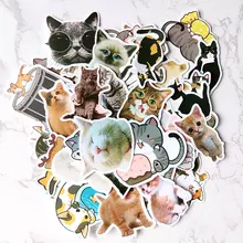 50PCS Cute Kitten Stickers 2-3.2in PVC Waterproof Reusable Notebook Luggage Mobile Phone Computer Water Cup Girl Stickers
50PCS Cute Kitten Stickers 2-3.2in PVC Waterproof Reusable Notebook Luggage Mobile Phone Computer Water Cup Girl Stickers