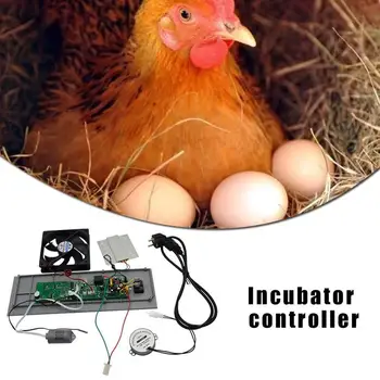 New Incubator Controller Simple DIY Incubation/Maintenance Temperature Humidity Control Control Suit 
New Incubator Controller Simple DIY Incubation/Maintenance Temperature Humidity Control Control Suit