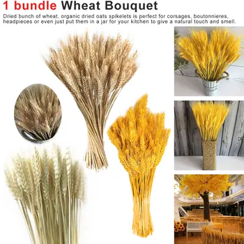 50pcs Artificial Wheat Ears Natural Dried Flowers Grain Bouquet for Wedding Party Decoration DIY Craft Scrapbook Home Decor
50pcs Artificial Wheat Ears Natural Dried Flowers Grain Bouquet for Wedding Party Decoration DIY Craft Scrapbook Home Decor