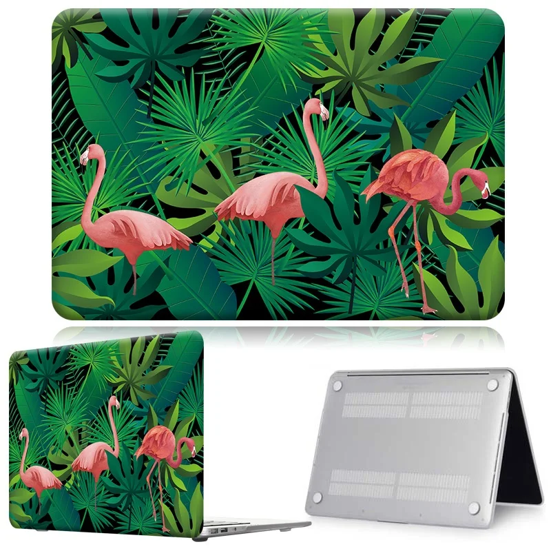 Flamingo015