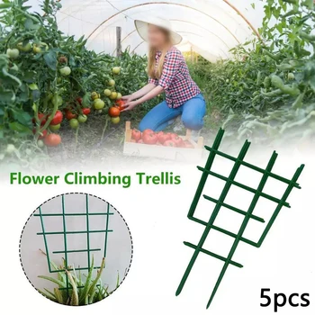 5Pcs Garden Plastic Plant Climbing Trellis Stand Vine Bracket Flower Holder For Clematis Lily Morning Glory Cucumber
5Pcs Garden Plastic Plant Climbing Trellis Stand Vine Bracket Flower Holder For Clematis Lily Morning Glory Cucumber