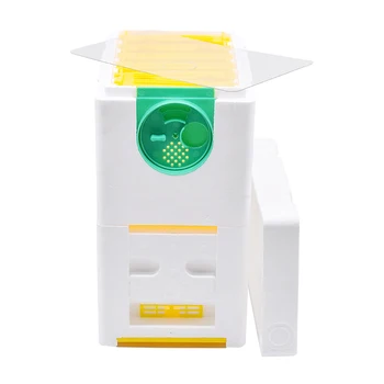 Beekeeping King Box Bee Nest Harvest Bee Hive Harvest Bee Hive Box EPS For Garden Pollination Single Layer 1set Beekeeping Tool 
Beekeeping King Box Bee Nest Harvest Bee Hive Harvest Bee Hive Box EPS For Garden Pollination Single Layer 1set Beekeeping Tool