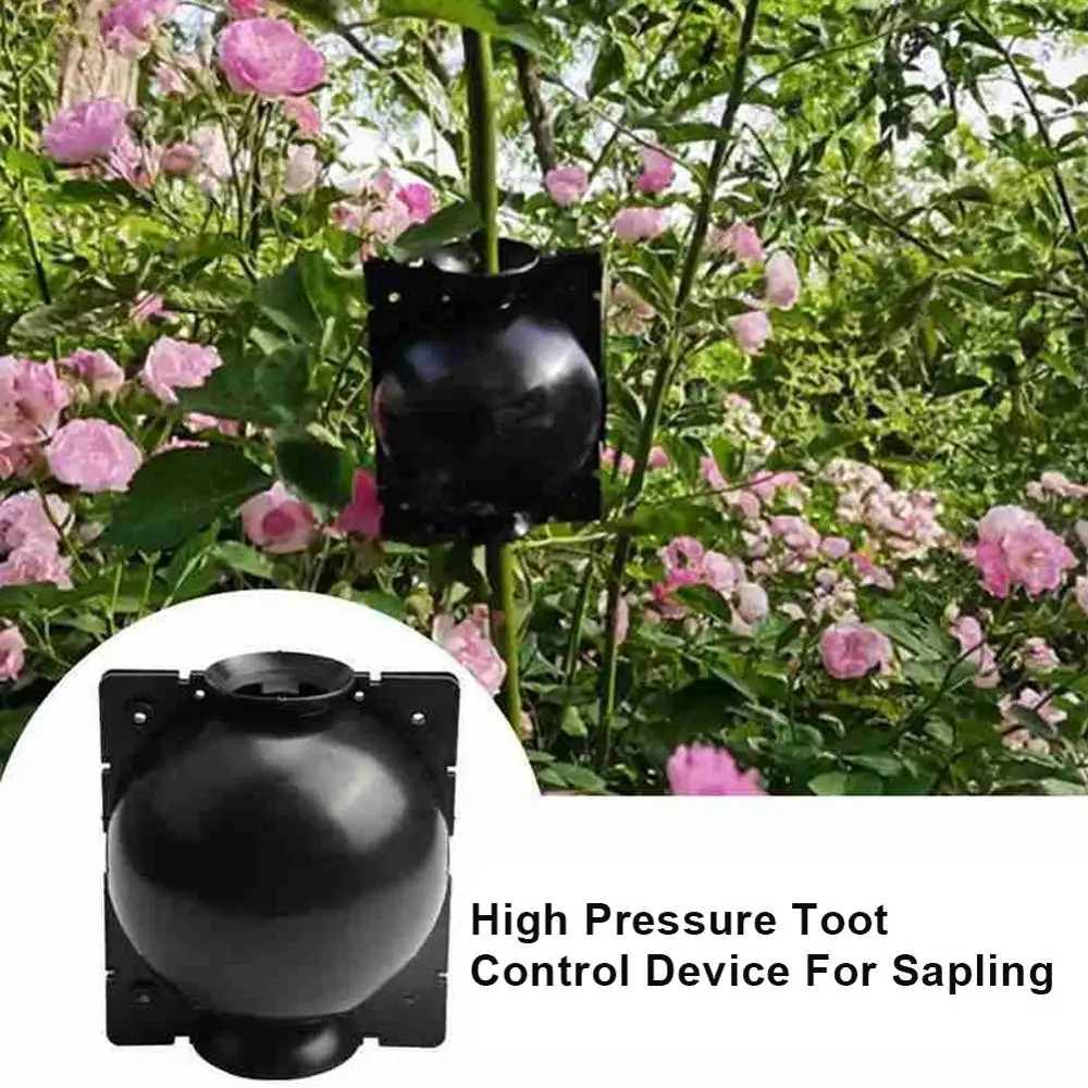 plant root growing box Cutting Grafting Rooting Box Garden Rooting Propagation Ball Plant Rooting Garden Supplies
plant root growing box Cutting Grafting Rooting Box Garden Rooting Propagation Ball Plant Rooting Garden Supplies