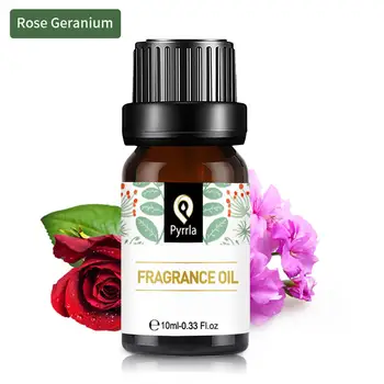 Pyrrla 10ml Rose Geranium Fragrance Oil For Aromatherapy Humidifier Air Fresh Relax Unwind Fennel Flower Fruit Essential Oils
Pyrrla 10ml Rose Geranium Fragrance Oil For Aromatherapy Humidifier Air Fresh Relax Unwind Fennel Flower Fruit Essential Oils