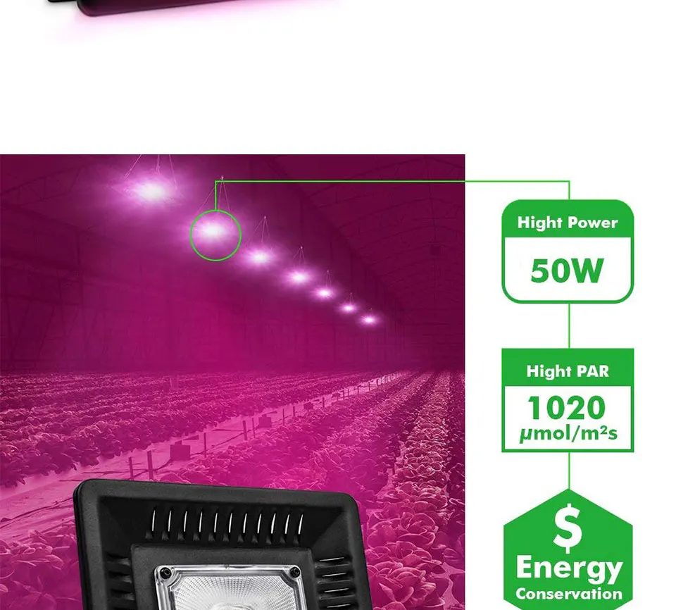 Driverless Smart IC AC 110V 220V Full Spectrum COB LED Light Chip for Floodlights Plant Grow Lamp 20W 30W 50W LED Bulb 60x40mm (15)