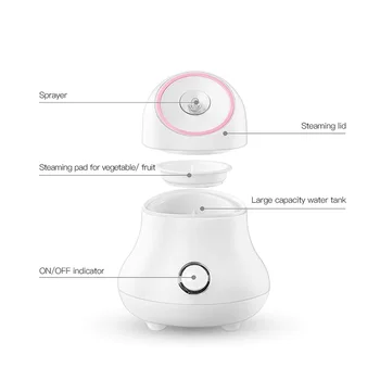 Spa Face Steamer Moisturizing Humidifier Atomizer 
Spa Face Steamer Moisturizing Humidifier Atomizer