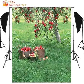 LIFE MAGIC BOX Fruit Tree Red Apple Background Photo Grassland Photography Backdrops Orchard
LIFE MAGIC BOX Fruit Tree Red Apple Background Photo Grassland Photography Backdrops Orchard
