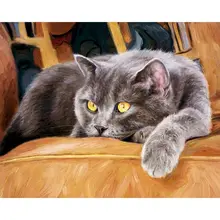 GATYZTORY Animals DIY Painting By Numbers Kit Acrylic Paint Cat On Canvas Wall Art Picture HandPainted For Home Decor
GATYZTORY Animals DIY Painting By Numbers Kit Acrylic Paint Cat On Canvas Wall Art Picture HandPainted For Home Decor