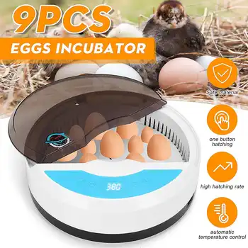110V/220V Automatic Chicken Egg Incubator Hatchery Equipment Farm Hatchery Incubator Brooder Machine 9 Eggs Incubator Tools
110V/220V Automatic Chicken Egg Incubator Hatchery Equipment Farm Hatchery Incubator Brooder Machine 9 Eggs Incubator Tools