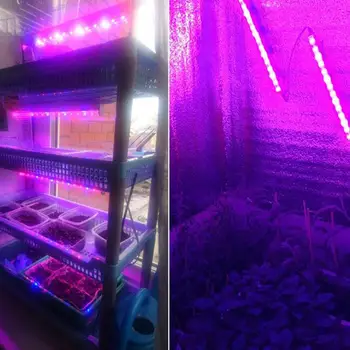 NEW Plants Growth Lights Energy Saving US Plug Garden LED Strip Bar Indoor Lighting Accessory 5Pcs Greenhouse Lamp Hydroponic
NEW Plants Growth Lights Energy Saving US Plug Garden LED Strip Bar Indoor Lighting Accessory 5Pcs Greenhouse Lamp Hydroponic