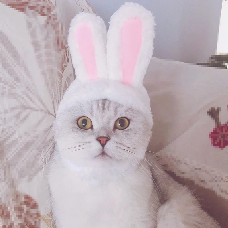 Cat Rabbit Hat Cute Rabbit Ears Cat Katten Kat Kitten Cap with Ears for Pet Small Dogs Pink Furry Costume Acessorios Para Gato
Cat Rabbit Hat Cute Rabbit Ears Cat Katten Kat Kitten Cap with Ears for Pet Small Dogs Pink Furry Costume Acessorios Para Gato