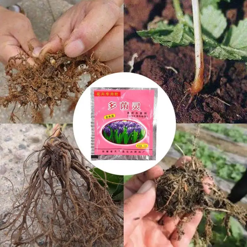 Карбендазим луковицы бонсай гормон роста для растений фунгициды пестициды