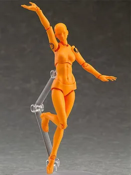 5inch Figma Female Soldier Mini Body Action Figure Model Joint Movable Doll Toy Collection Fresh orange Color Girl Body Toy
5inch Figma Female Soldier Mini Body Action Figure Model Joint Movable Doll Toy Collection Fresh orange Color Girl Body Toy