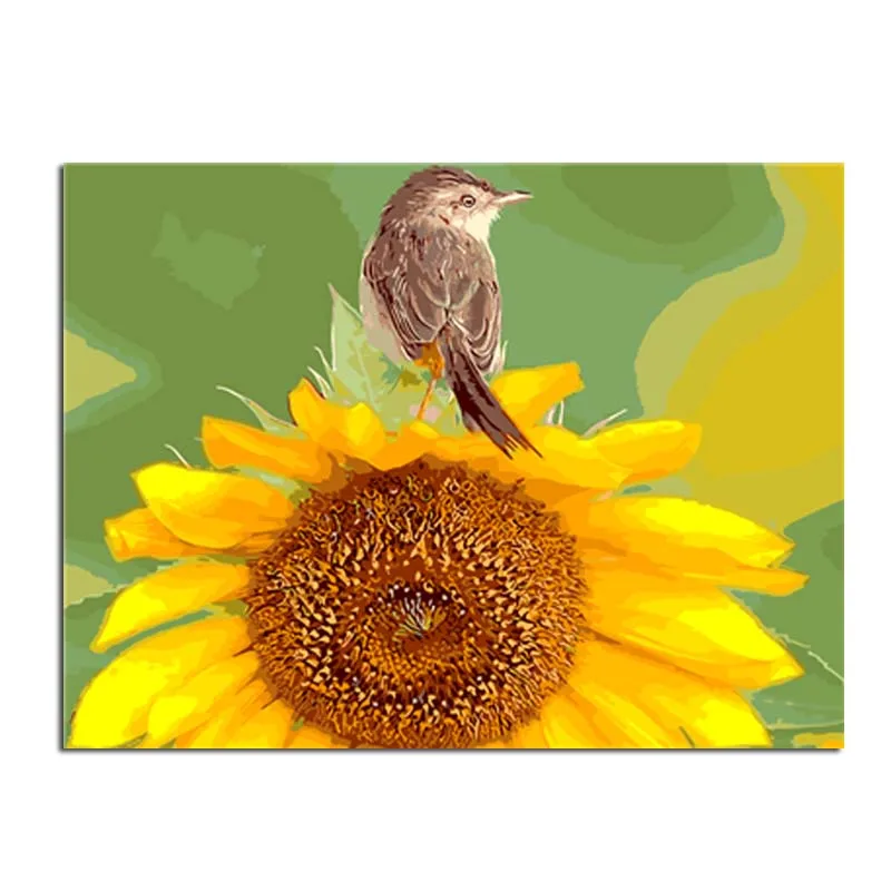 Hot Sale Bird On Sunflower DIY Digital Painting By Numbers Acrylic Paint Abstract Modern Wall Art Canvas Painting For Home Decor
Hot Sale Bird On Sunflower DIY Digital Painting By Numbers Acrylic Paint Abstract Modern Wall Art Canvas Painting For Home Decor