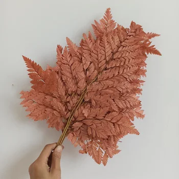 5PCS Dried Flowers Fern Leaves Natural Plants Leaf Immortal Dry Flower Materials DIY Wedding Party Decoration
5PCS Dried Flowers Fern Leaves Natural Plants Leaf Immortal Dry Flower Materials DIY Wedding Party Decoration