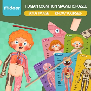 Mideer Human body cognition jigsaw puzzle Cognitive jigsaw puzzle jigsaw puzzle toys for children kids birthday present gift
Mideer Human body cognition jigsaw puzzle Cognitive jigsaw puzzle jigsaw puzzle toys for children kids birthday present gift