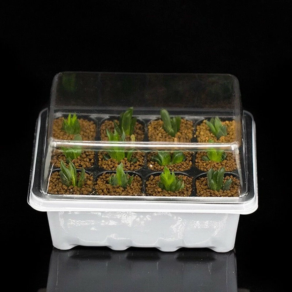 Succulent Plantings Propagation Germination Tool 12 Grids Seed Starter Kit Starting Flower Pots Plant Nursery Propagation Tray
Succulent Plantings Propagation Germination Tool 12 Grids Seed Starter Kit Starting Flower Pots Plant Nursery Propagation Tray