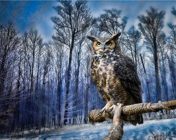 Woods Owl Animal Needlework Aide sets Cross stitch 14CT Unprinted Embroidery kits Arts Cross-Stitching,DIY Handmade Home Decor
Woods Owl Animal Needlework Aide sets Cross stitch 14CT Unprinted Embroidery kits Arts Cross-Stitching,DIY Handmade Home Decor