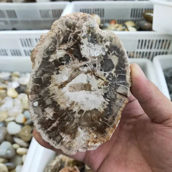 300gnatural stones and minerals crystal woodstone fossil tree for coaster home decoration wooden tree fossil madagascar
300gnatural stones and minerals crystal woodstone fossil tree for coaster home decoration wooden tree fossil madagascar
