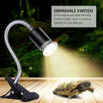 1 Set Bending Practical Heating Light Stand Backlight Stand with Light Bulb for Turtle Reptile
1 Set Bending Practical Heating Light Stand Backlight Stand with Light Bulb for Turtle Reptile