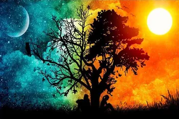 Explosion-5d Diamond Painting Rainbow Tree Embroidered DIY Living Room Bedroom Diamond Painting Embroidered Full of Crystals
Explosion-5d Diamond Painting Rainbow Tree Embroidered DIY Living Room Bedroom Diamond Painting Embroidered Full of Crystals