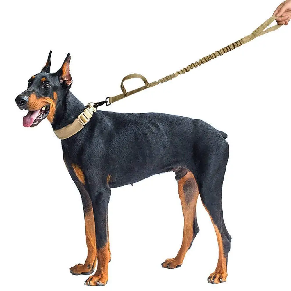 Tactical Dog Leash 2 Handle Quick Release Pet Cat Dog Leash Elastic Leads Rope Military K9 Police Dog Hunting Training Leashes
Tactical Dog Leash 2 Handle Quick Release Pet Cat Dog Leash Elastic Leads Rope Military K9 Police Dog Hunting Training Leashes