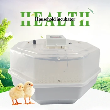 Farm Hatchery Machine for Chicken Quail Brooder Egg Incubator Temperature Control Incubator Hatchery
Farm Hatchery Machine for Chicken Quail Brooder Egg Incubator Temperature Control Incubator Hatchery