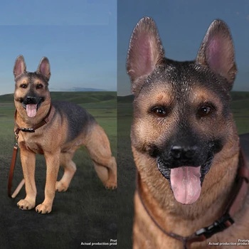 DID AS003 1/6 Scale Working Dog German Shepherd German Dog Simulation Animal Dog Model for 12 inches Action Figure Accessories
DID AS003 1/6 Scale Working Dog German Shepherd German Dog Simulation Animal Dog Model for 12 inches Action Figure Accessories