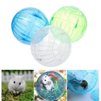 Pet Exercise Ball Rat Hamster Jogging Color Random Randomly Activity Pet Supplies Toy Gerbil Dwarf Mice Dwarf Mice Chinchilla
Pet Exercise Ball Rat Hamster Jogging Color Random Randomly Activity Pet Supplies Toy Gerbil Dwarf Mice Dwarf Mice Chinchilla