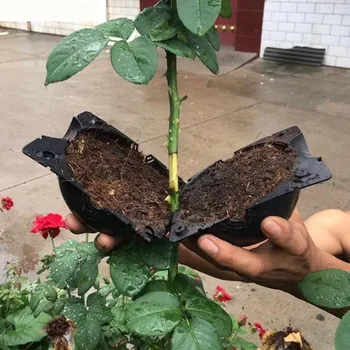 Garden Tools 3pcs Plant Rooting Equipment Propagation Ball High Pressure Case Grafting Plant Propagator Gardening Seedling Tray
Garden Tools 3pcs Plant Rooting Equipment Propagation Ball High Pressure Case Grafting Plant Propagator Gardening Seedling Tray