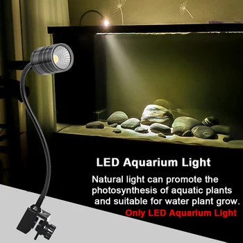 3W Clip On Fish Tank LED Aquarium Light Irradiation Freshwater 360 Rotation Plants Growing Dimmable Pet Supplies With Gooseneck
3W Clip On Fish Tank LED Aquarium Light Irradiation Freshwater 360 Rotation Plants Growing Dimmable Pet Supplies With Gooseneck