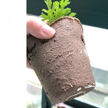 50 Pcs/set Round Paper Pulp Peat Pots Plant Nursery Cup Tray Garden Seedling Tool Seed Starters Cups 8cm
50 Pcs/set Round Paper Pulp Peat Pots Plant Nursery Cup Tray Garden Seedling Tool Seed Starters Cups 8cm