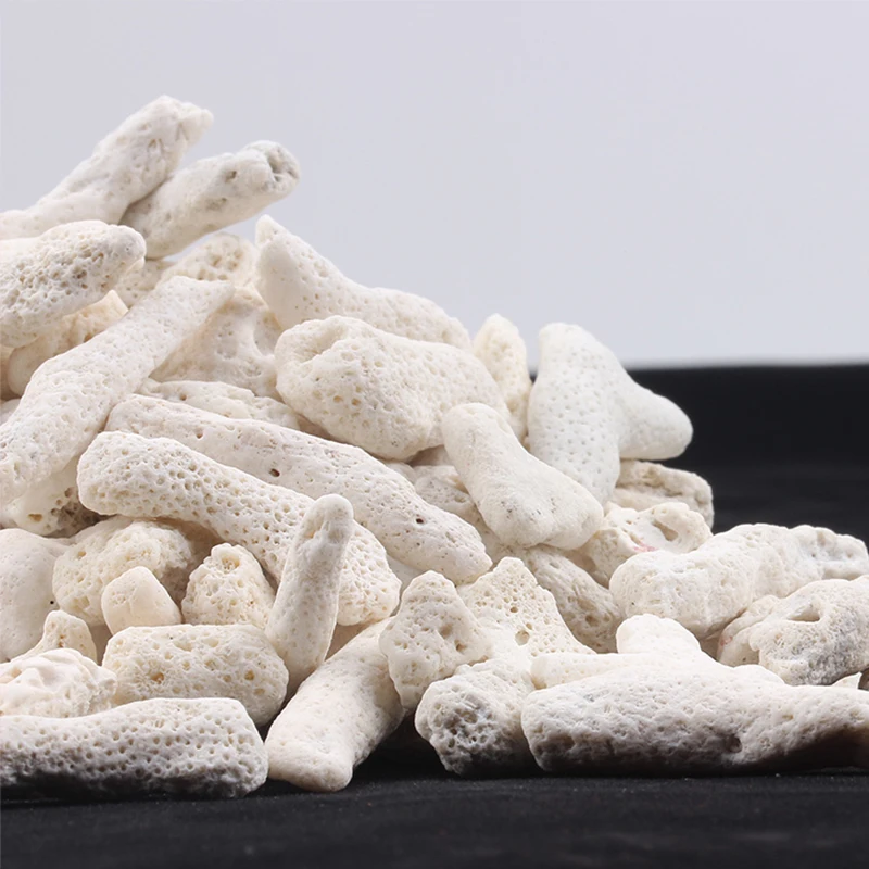 500g Aquarium Filter Coral Shell for freshwater seawater,Natural Reef Coral Bone Sand Biocycle Filter Medium to nitrify bacteria
500g Aquarium Filter Coral Shell for freshwater seawater,Natural Reef Coral Bone Sand Biocycle Filter Medium to nitrify bacteria