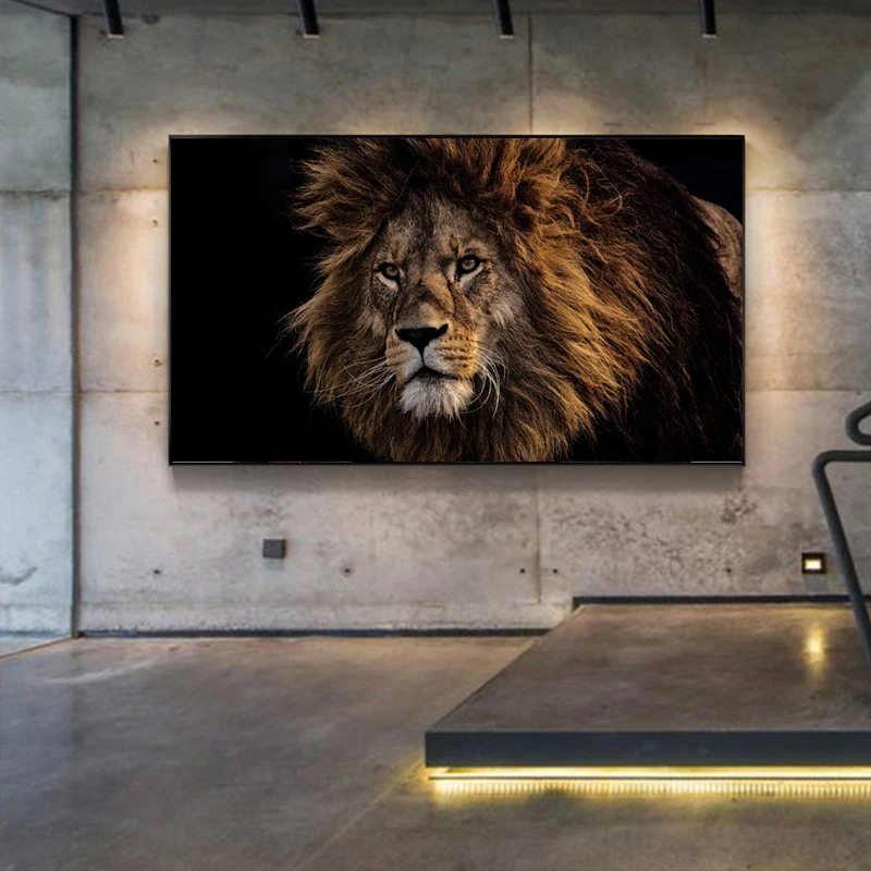 LION4