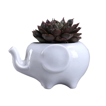Elephant Ceramic Flower Pot Succulent Plant Container Decoration for Home Office Garden DEC889
Elephant Ceramic Flower Pot Succulent Plant Container Decoration for Home Office Garden DEC889