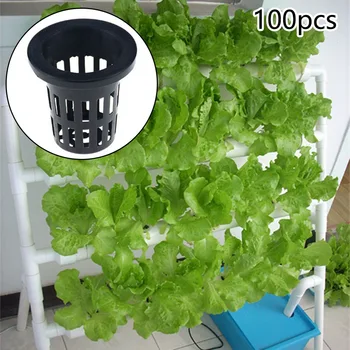 100Pcs/set Hydroponic Pot Net Cups Basket Planting Grow Nursery Clone Soilless Plant Planting Net Cups
100Pcs/set Hydroponic Pot Net Cups Basket Planting Grow Nursery Clone Soilless Plant Planting Net Cups