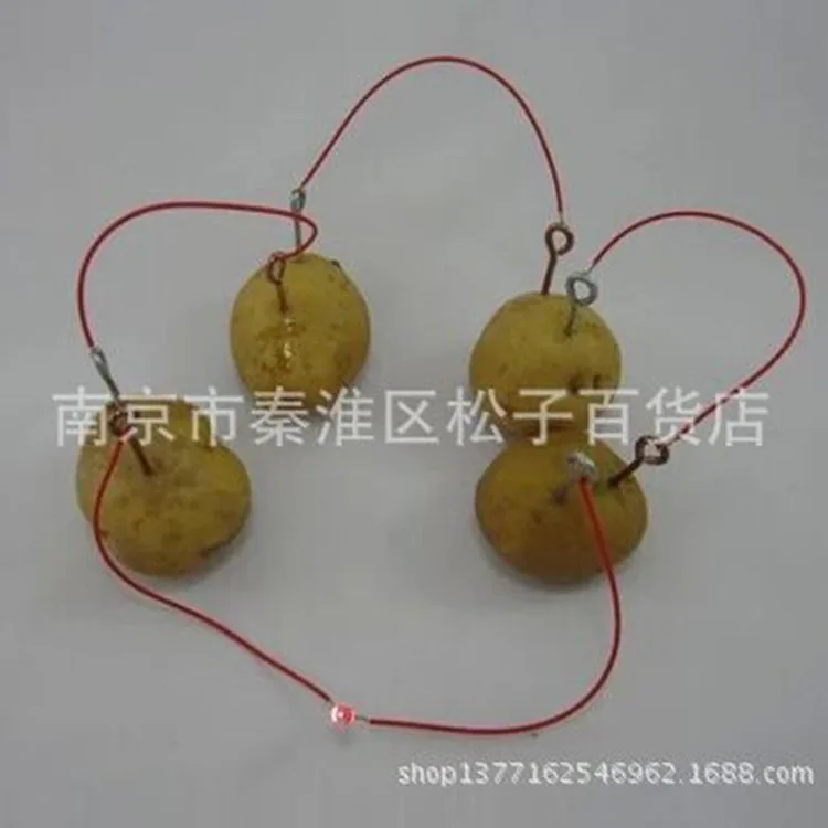 Handmade DIY Biological Potato Battery Primary School STUDENT'S Environmentally Friendly Experimental Model Toy'
Handmade DIY Biological Potato Battery Primary School STUDENT'S Environmentally Friendly Experimental Model Toy'