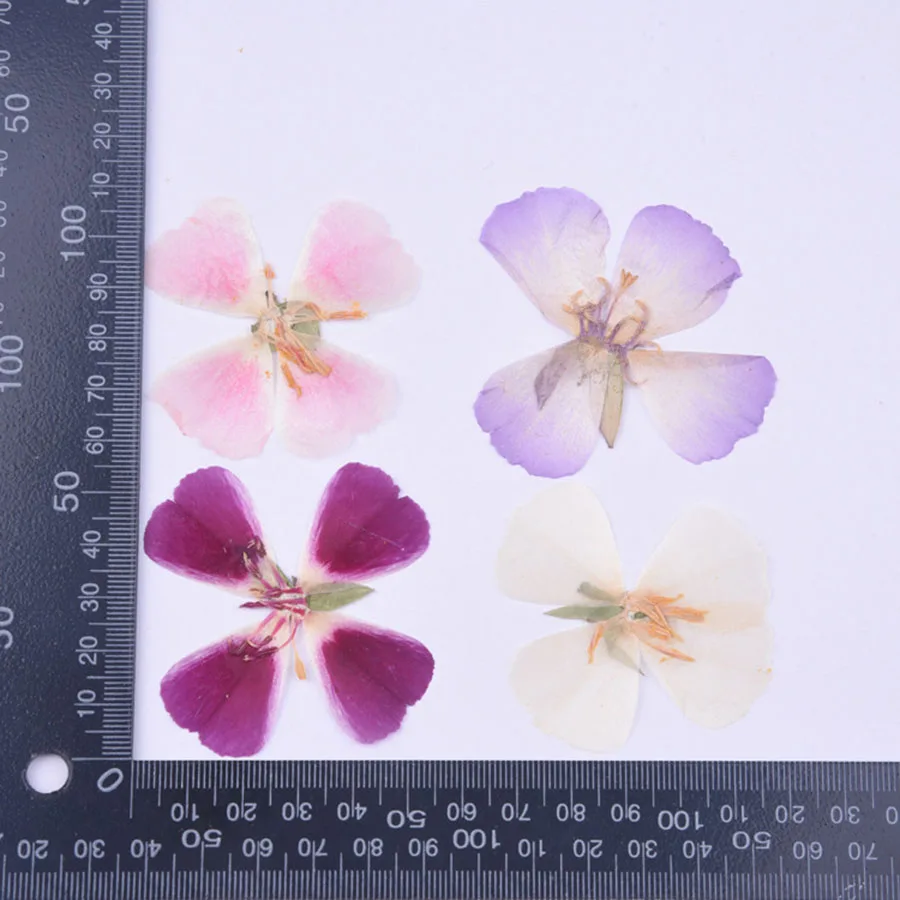 

30pcs 4-5cm Pressed Dried Godetia Flowers Plants Herbarium For Jewelry Postcard Phone Case Photo Frame Bookmark Craft DIY