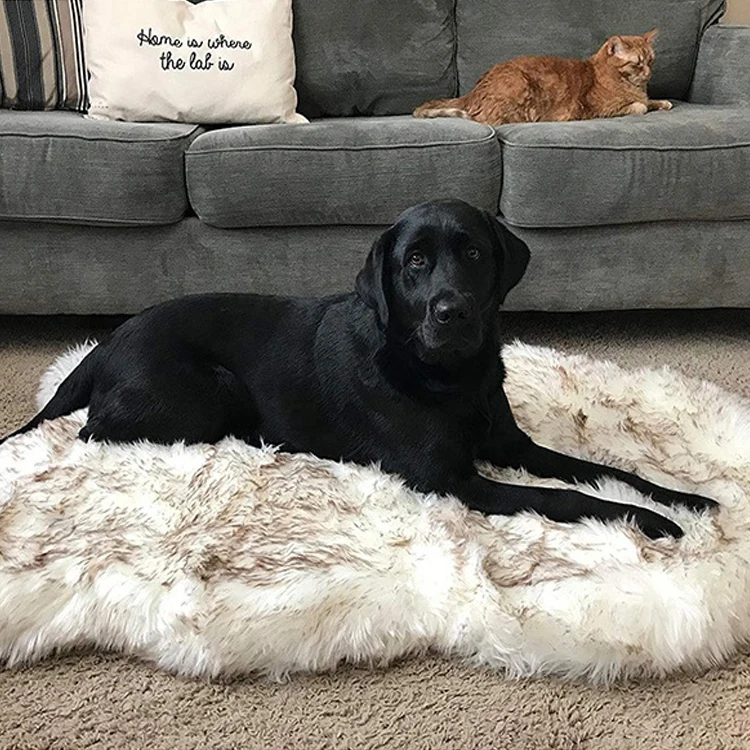 Pet Dog Bed Mat Doormat Luxury Shag Blanket No Lint Shedding Support Machine Wash for All Seasons Small Medium Large Pets
Pet Dog Bed Mat Doormat Luxury Shag Blanket No Lint Shedding Support Machine Wash for All Seasons Small Medium Large Pets