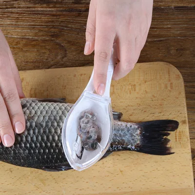 Plastic Fish Scale Scraping Blade Fast Fish Scale Kitchen Fish Scale Scraper Manual Fish Scale Removal Tool
Plastic Fish Scale Scraping Blade Fast Fish Scale Kitchen Fish Scale Scraper Manual Fish Scale Removal Tool