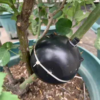 2020 NEW Plant High-pressure Propagation Box Plant Rooting Device Rooting Propagation Device Cutting Grafting Rooting Box
2020 NEW Plant High-pressure Propagation Box Plant Rooting Device Rooting Propagation Device Cutting Grafting Rooting Box