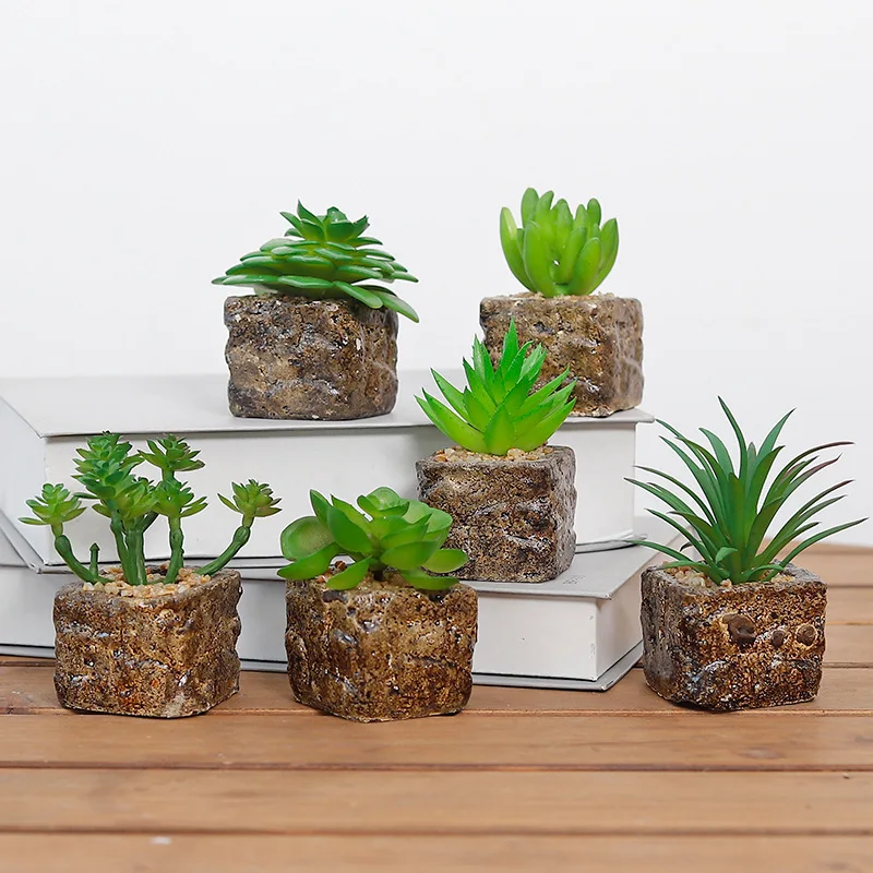 High Quality Fake Mini Simulation Succulent Potted Creative Home Living Room Tabletop Resin Ornament Artificial Plant QW150 
High Quality Fake Mini Simulation Succulent Potted Creative Home Living Room Tabletop Resin Ornament Artificial Plant QW150