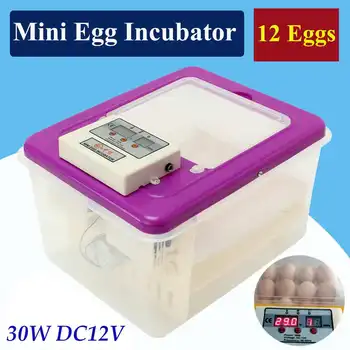 220V 30W Eggs Incubator Brooder Bird Quail Incubator Chick Hatchery Incubator Poultry Hatcher Automatic Farm Incubation Tools
220V 30W Eggs Incubator Brooder Bird Quail Incubator Chick Hatchery Incubator Poultry Hatcher Automatic Farm Incubation Tools