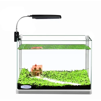 Goldfish Bowl Small Hot Bend Aquarium Super White Glass Living Room Medium Ecological Aquatic Crock Office Turtle Crock
Goldfish Bowl Small Hot Bend Aquarium Super White Glass Living Room Medium Ecological Aquatic Crock Office Turtle Crock